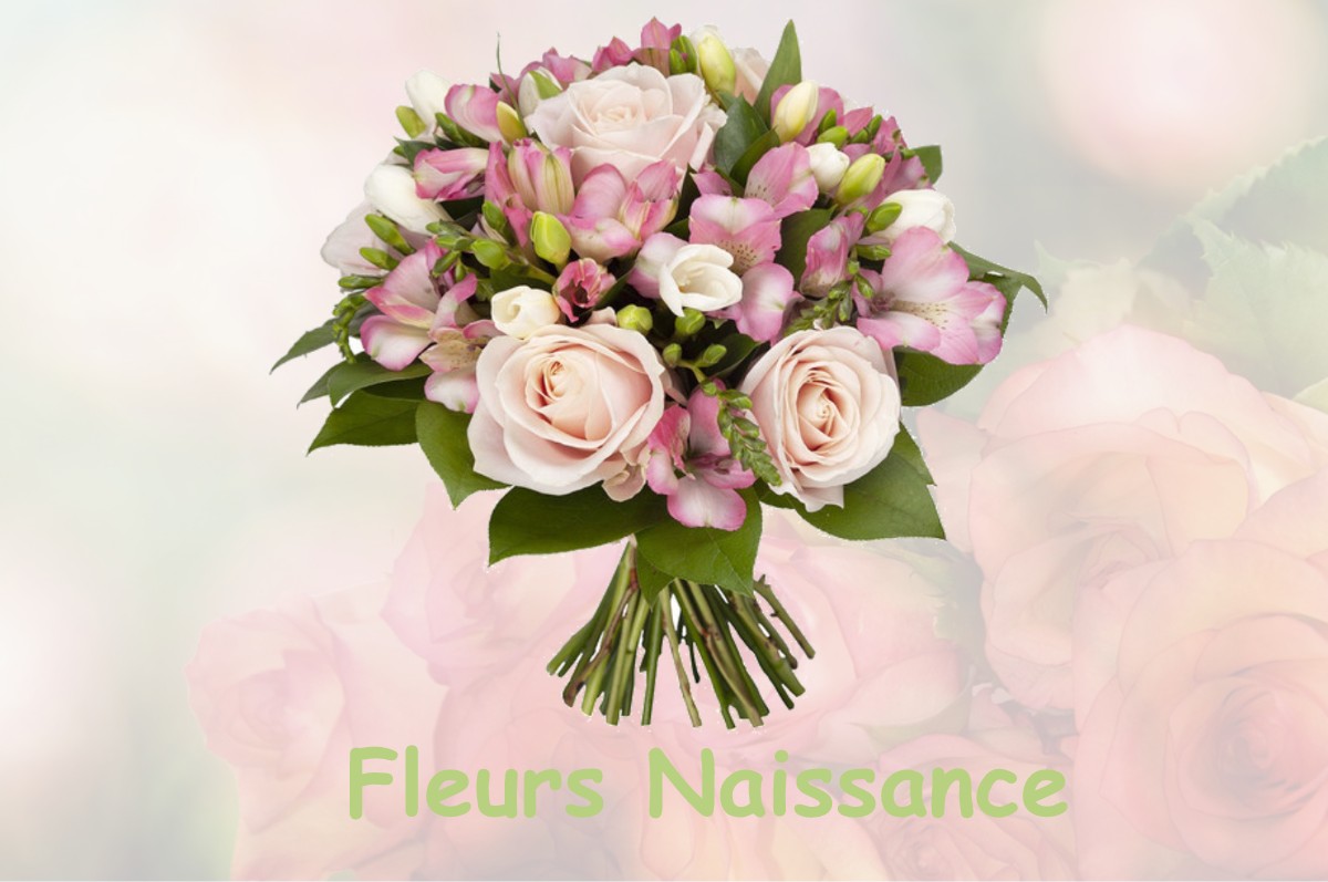 fleurs naissance PERIGNY