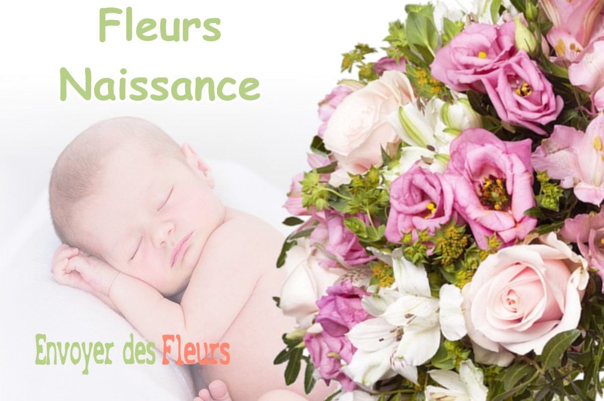 lIVRAISON FLEURS NAISSANCE à PERIGNY